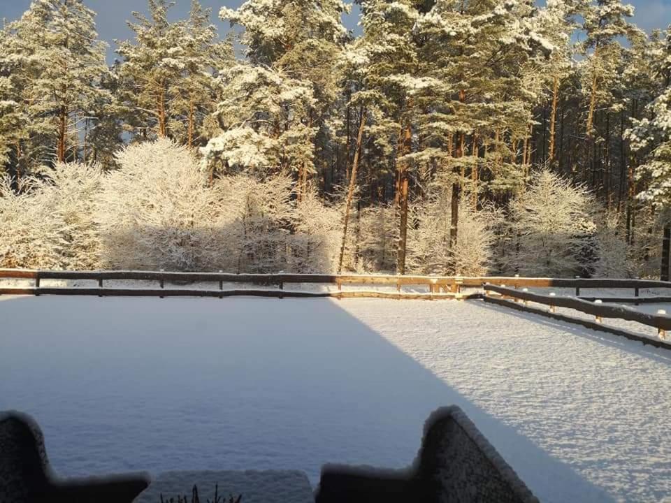 Kaszuby W Ostoja Bukowo - U Malgoski Domek 6 Z Widokiem Na Las I Internetem Villa Borowy Mlyn Exterior photo