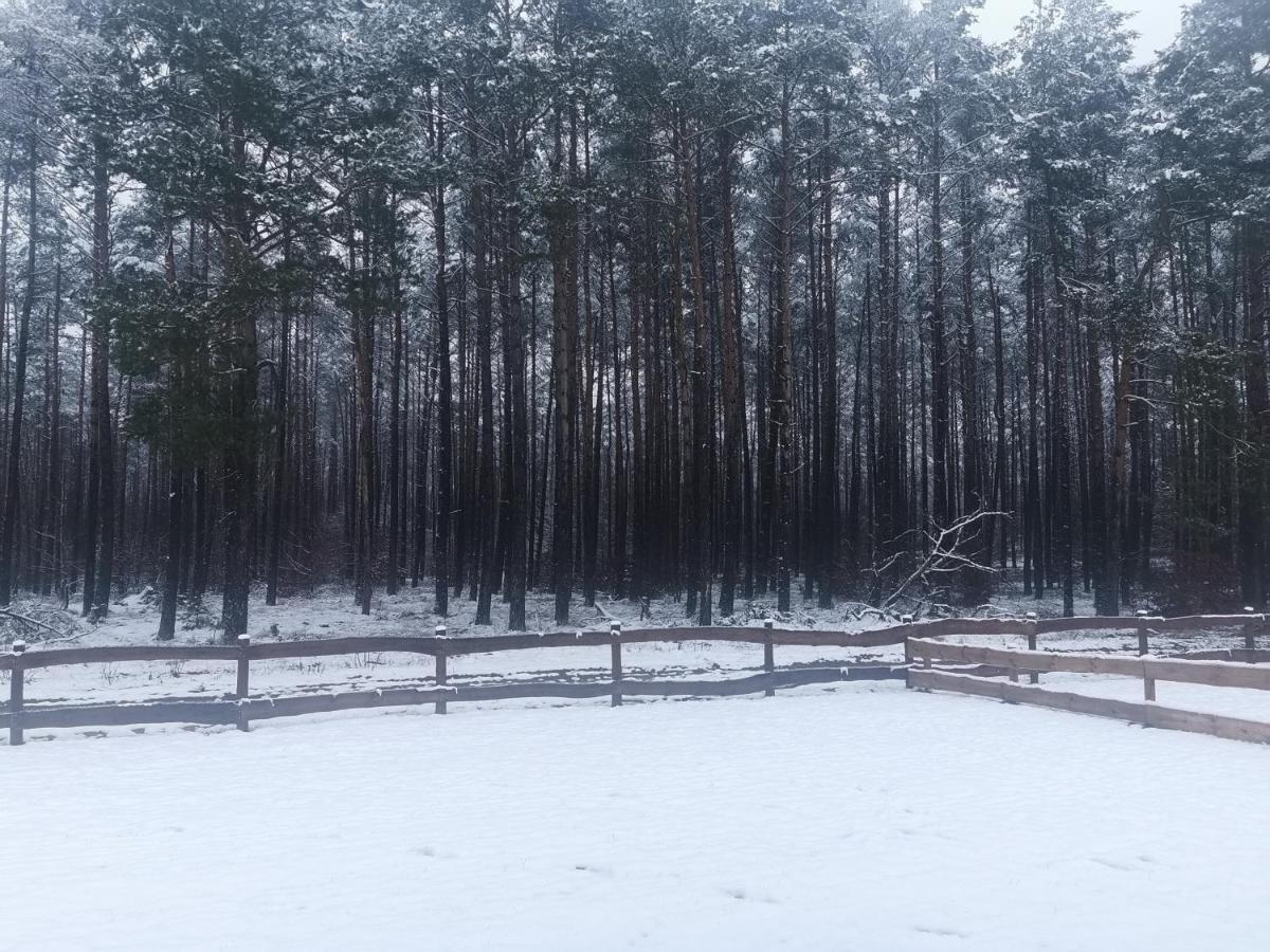 Kaszuby W Ostoja Bukowo - U Malgoski Domek 6 Z Widokiem Na Las I Internetem Villa Borowy Mlyn Exterior photo