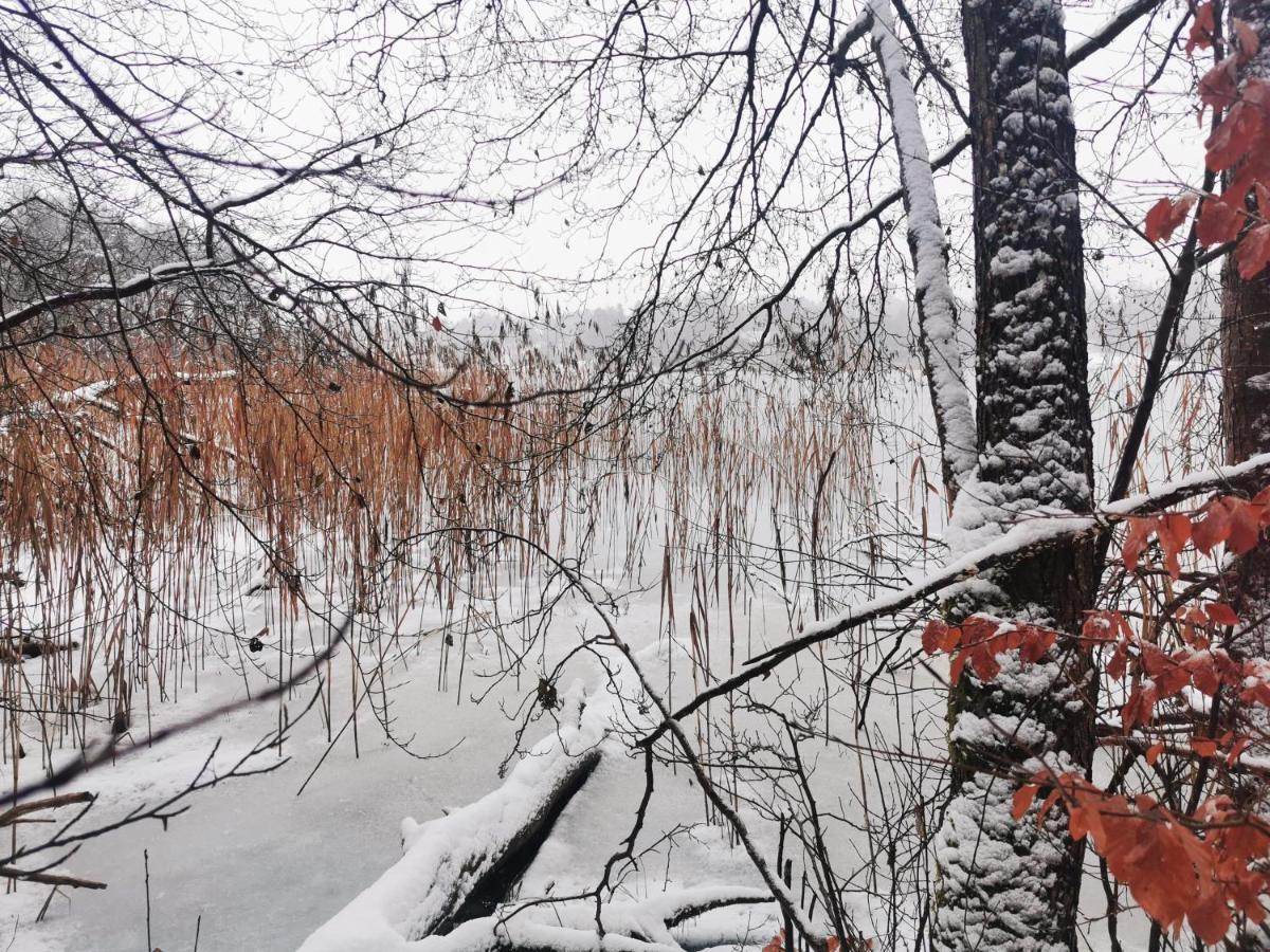 Kaszuby W Ostoja Bukowo - U Malgoski Domek 6 Z Widokiem Na Las I Internetem Villa Borowy Mlyn Exterior photo